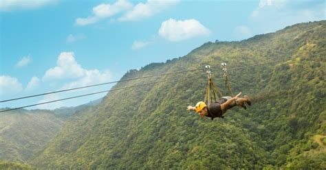 Porto Rico Zipline The Beast Al Toro Verde Adventure Park GetYourGuide