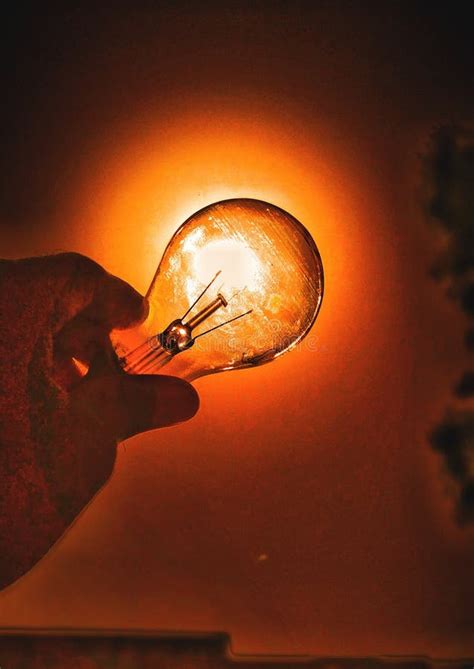 sun   bulb stock image image  beautiful