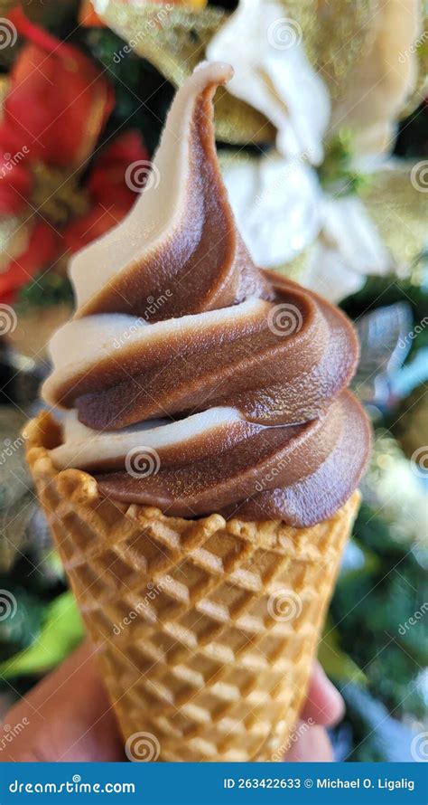 Chocolate Ice Cream Twirl On A Cone Stock Image Image Of Cone Twirl