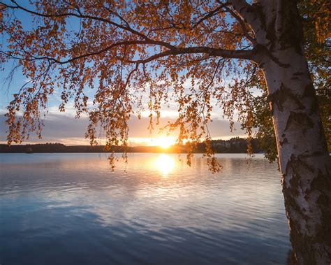 Wallpaper Finland Lake Saimaa Tree Autumn Sunset 3840x2160 Uhd 4k