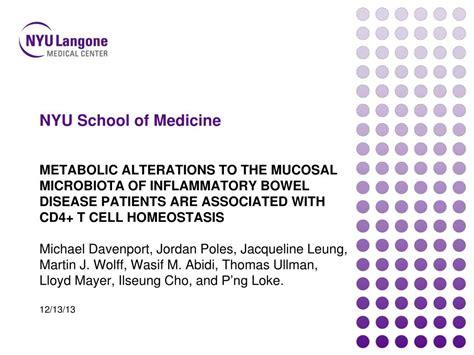 PPT - NYU School of Medicine PowerPoint Presentation, free download ...