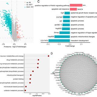 Analysis Of Differentially Expressed Proteins Deps Between The Ocn