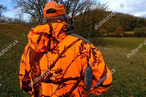 Wild Boar Hunting Pack Grand Bleu Editorial Stock Photo - Stock Image ...