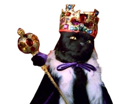 King Salem Cat By Dracoawesomeness On Deviantart