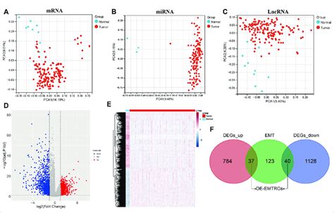 Identification Of Differentially Expressed Epithelial Mesenchymal