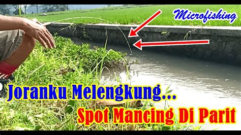 Rejeki Mancing Di Parit Umpan Jatuh Langsung Disambar Youtube