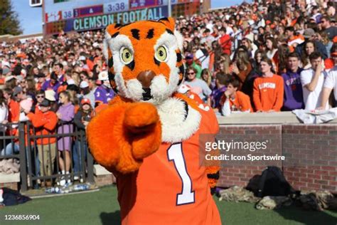 677 Clemson Mascot Stock Photos, High-Res Pictures, and Images - Getty ...