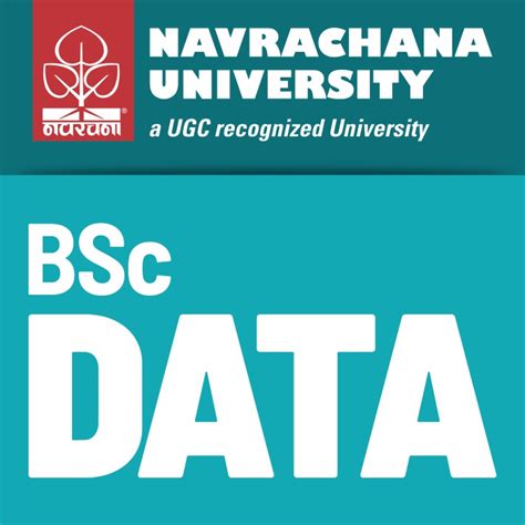 BSc Data Science Navrachana University