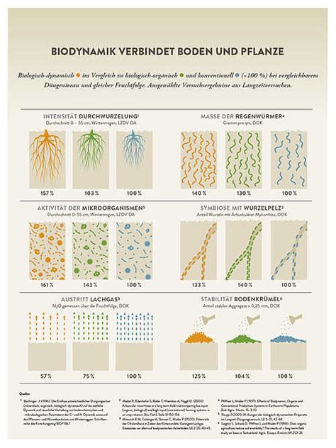 Biodynamische Landwirtschaft Verbessert Nachweislich Den Humusgehalt