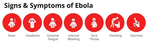 Ebola Virus Symptoms Bleeding