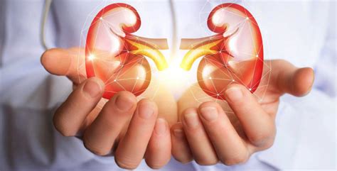 How To Prevent Kidney Failure 9 Tips Healthnormal