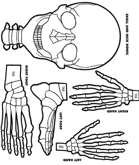 Skeleton Printable Cut Out