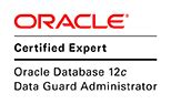 About DBA Rodrigo Jorge Oracle Tips And Guides