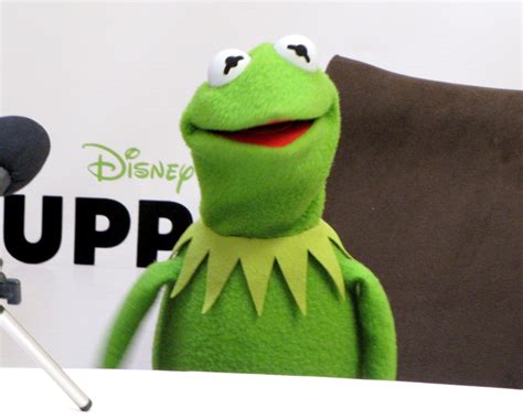 MR. WILL-W.:POP MAVEN: INTERVIEW: KERMIT THE FROG ON "THE MUPPETS"