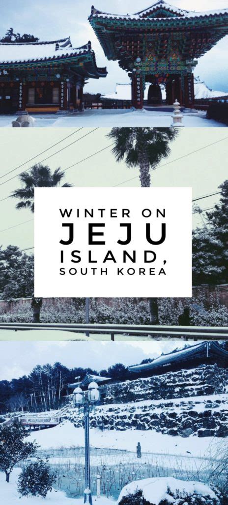 The Jeju Island Winter That Shut Down the "Hawaii of Korea ...