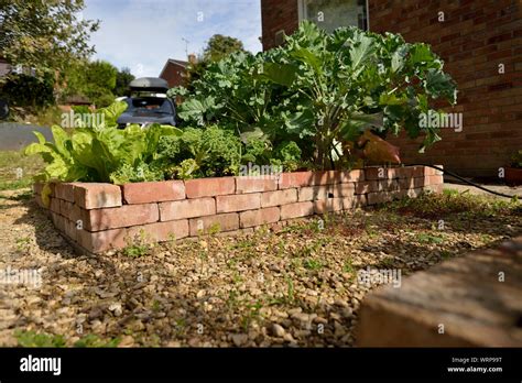 Brick raised bed hi-res stock photography and images - Alamy