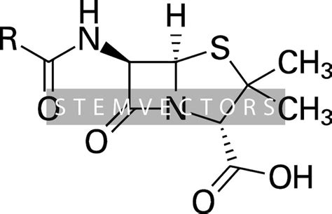 Penicillin Chemical Structure digital Download Black and White Vector ...