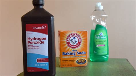 Skunk Smell Removal Recipe Hydrogen Peroxide | Bryont Blog