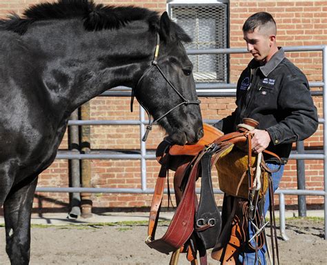 Soldiers Amish Upbringing Comes Full Circle Article The United