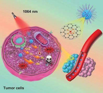 Nir Ii Advanced Functional Materials X Mol