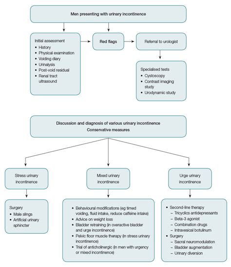 RACGP - Adult male stress and urge urinary incontinence - A review of ...