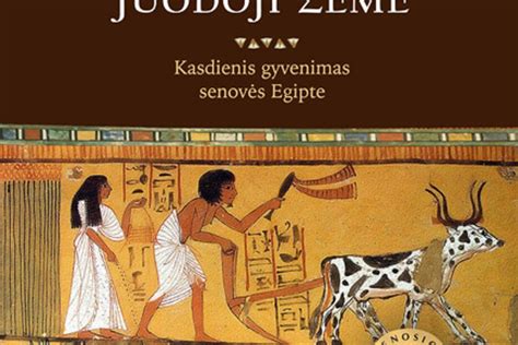 Senovės Egipto paslaptys kodėl egiptiečiai darė mumijas