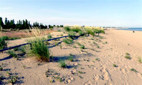 In Veneto Un Progetto Per Salvare Le Dune Costiere Dal Turismo Di