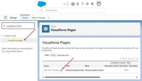 Visualforce Page With Custom Controller Example Overview