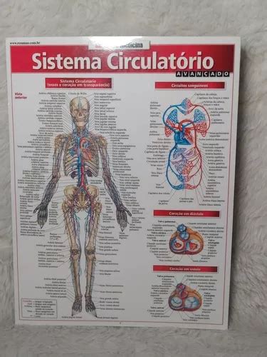 Resumão Medicina Sistema Circulatório Avançado Mercadolivre