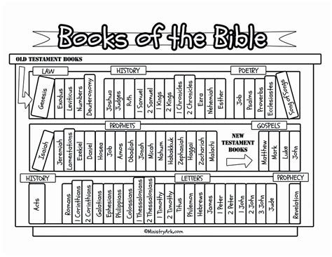 50 Books Of The Bible Worksheet