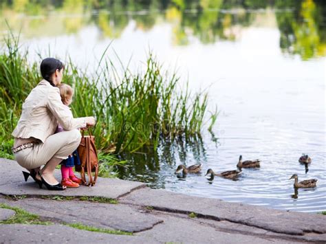 Feeding ducks stock image. Image of parent, calmness - 10872591