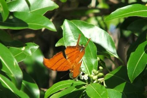 SECRET WOODS NATURE CENTER | Fort Lauderdale, FL 33312