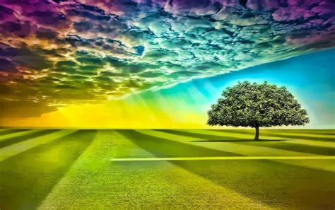 Rainbow Tree Wallpapers Wallpaper Cave