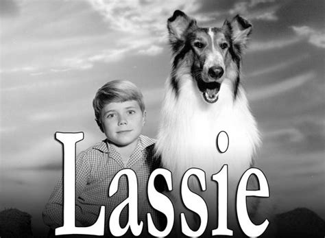 Lassie TV Show Air Dates & Track Episodes - Next Episode