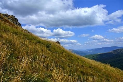 Free Picture Hill Tree Nature Sky Landscape Atmosphere Cloud