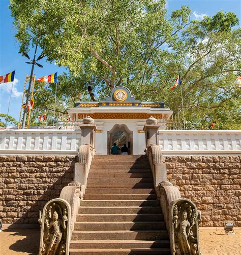 Historical Places In Anuradhapura Ruwanwelisaya Sri Maha Bodhi Adhitya