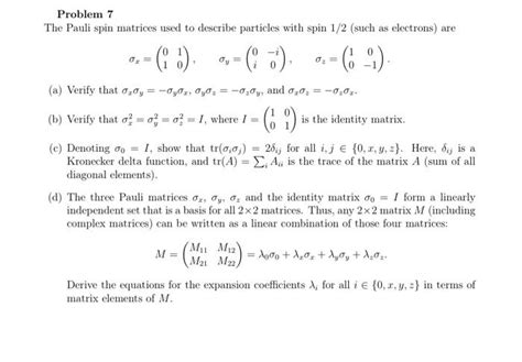 Solved Problem The Pauli Spin Matrices Used To Describe Chegg