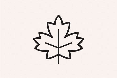 Outline Of Maple Leaf At Tancarolineblog Blog