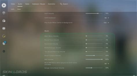 How To Turn Down Or Mute Music In CS GO SkinLords