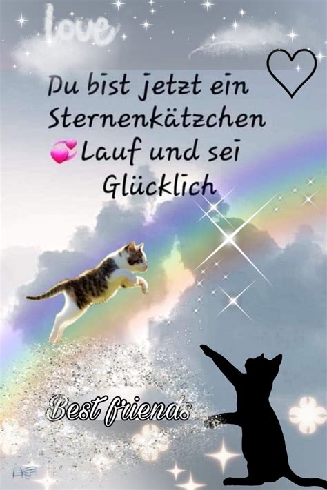 Pin von Elli auf Katzen Sprüche Sprüche katze Zitate zur erinnerung