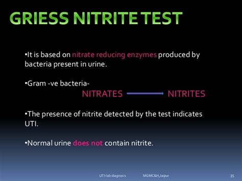 E Coli Urine Culture