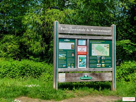 Val d Oise balade nature dans la vaste forêt domaniale de Montmorency