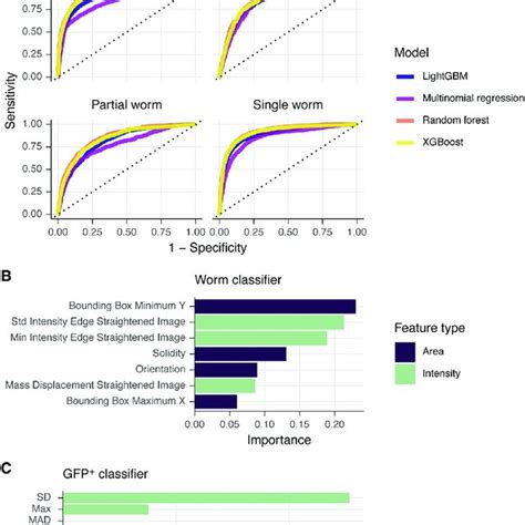 Statistical Models Used To Classify And Filter Straightened C Elegans Download Scientific