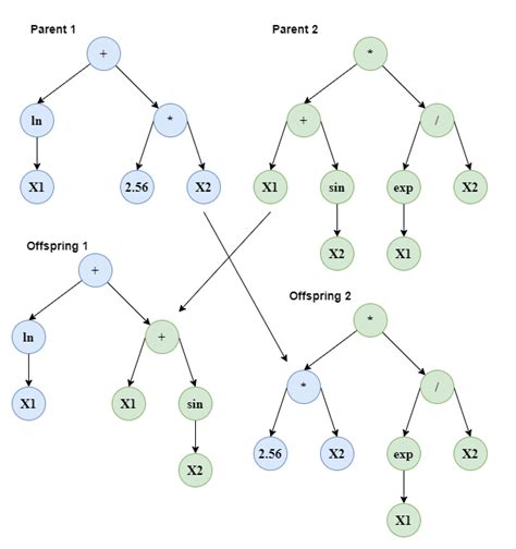 Symbolic Regression Using Genetic Programmingin Python