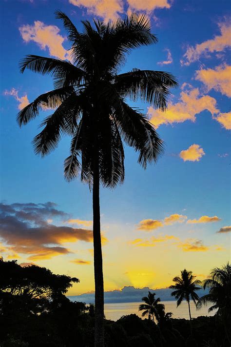 Sunset Taveuni Fiji Photograph By Douglas Peebles Fine Art America