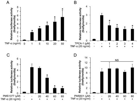 PMS1077 Inhibited TNF A Induced Expression Of NF K B Regulated