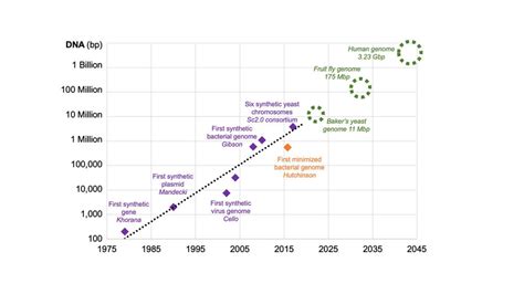 What Is Synthetic Genomics