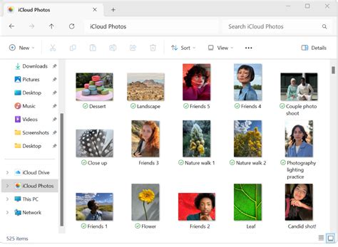 iCloud‑Fotos auf deinen Windows-Computer laden und dort anzeigen ...