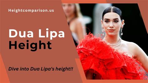 Dua Lipa Height How Tall Is Dua Lipa Guided