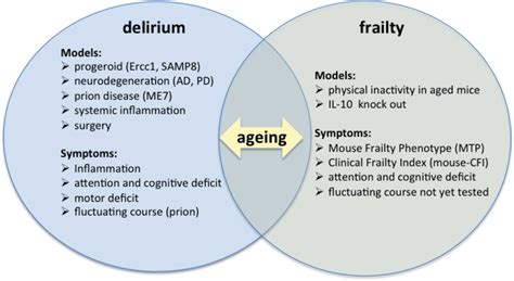 Preclinical Models Of Frailty And Delirium Current Studies On